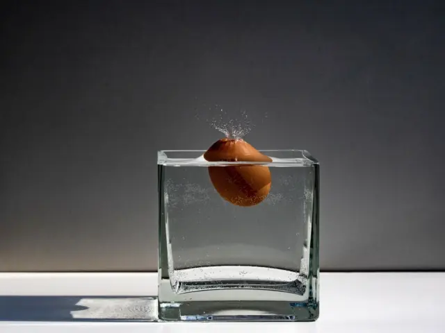 How To Tell If Fresh Eggs Are Bad: 7 Simple Tests To Try Before You Cook